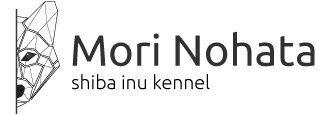 Mori Nohata Logo